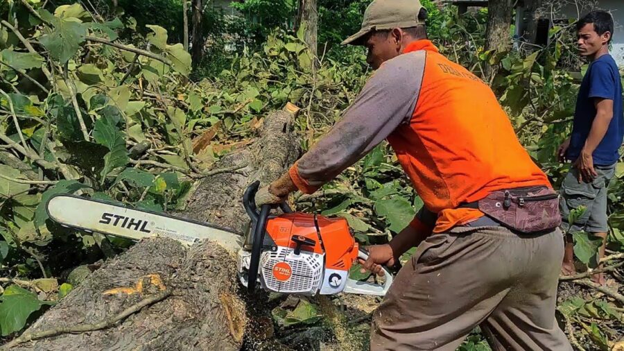 STIHL MS 881 moottorisahan testi